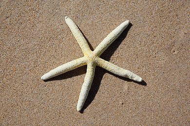 《妮姬：胜利女神》联动EVA开启 女神换新装